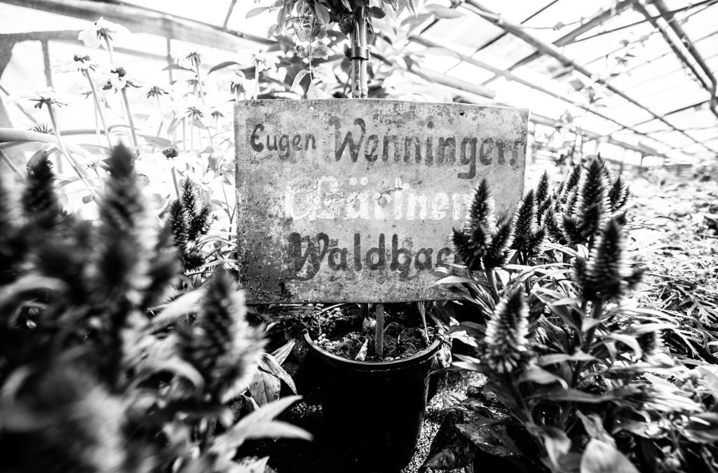Das originale Schild von Eugen Wenningers Gärtnerei in Waldbach