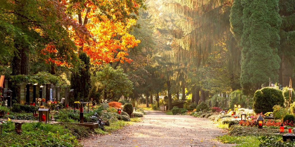 Friedhofsweg im Herbstlicht